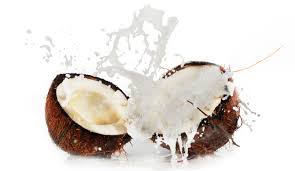 Agua de Coco  - Brazilian Fruits Exports